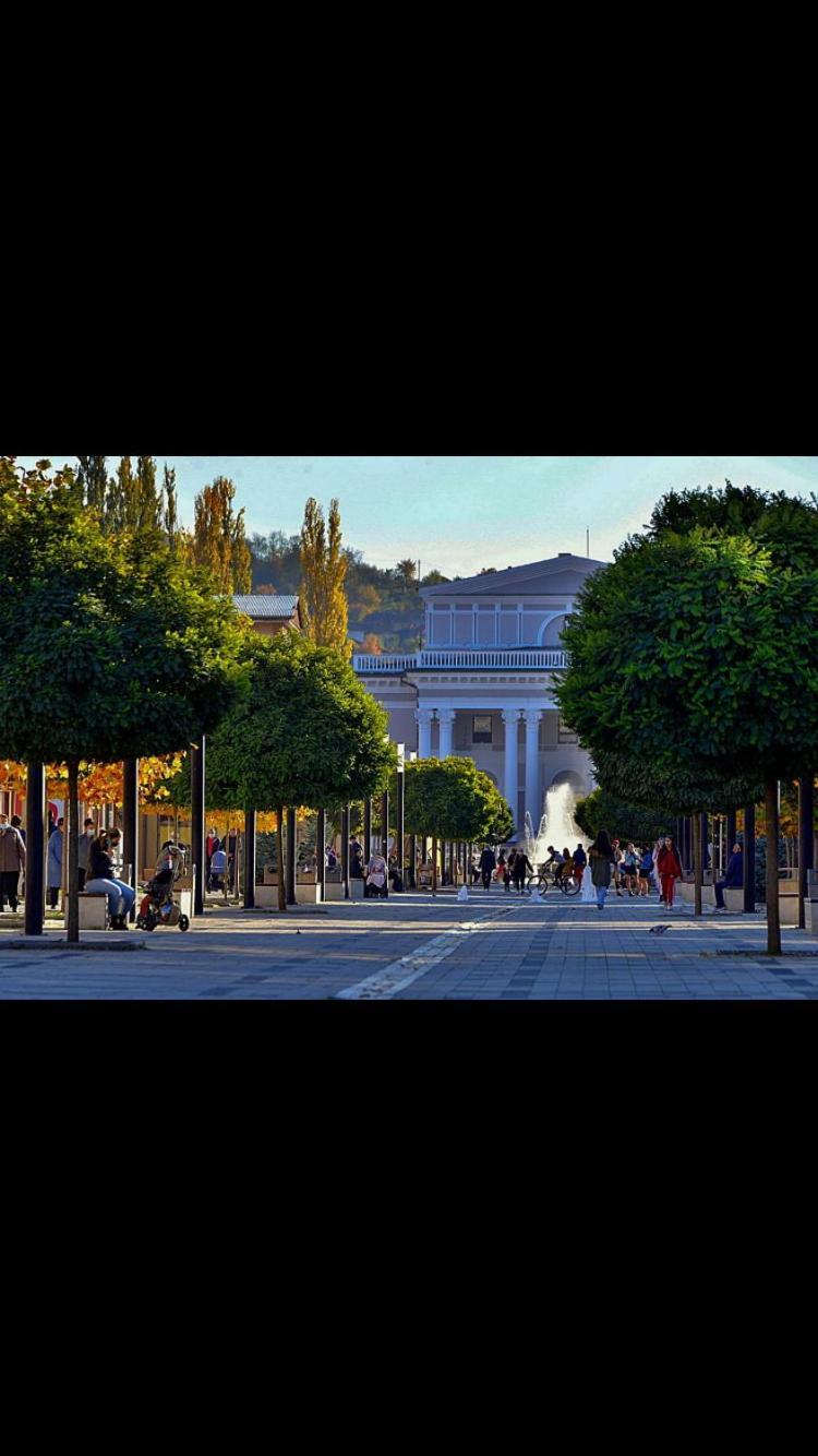 Refugiul Castelului Apartment Hunedoara Exterior foto