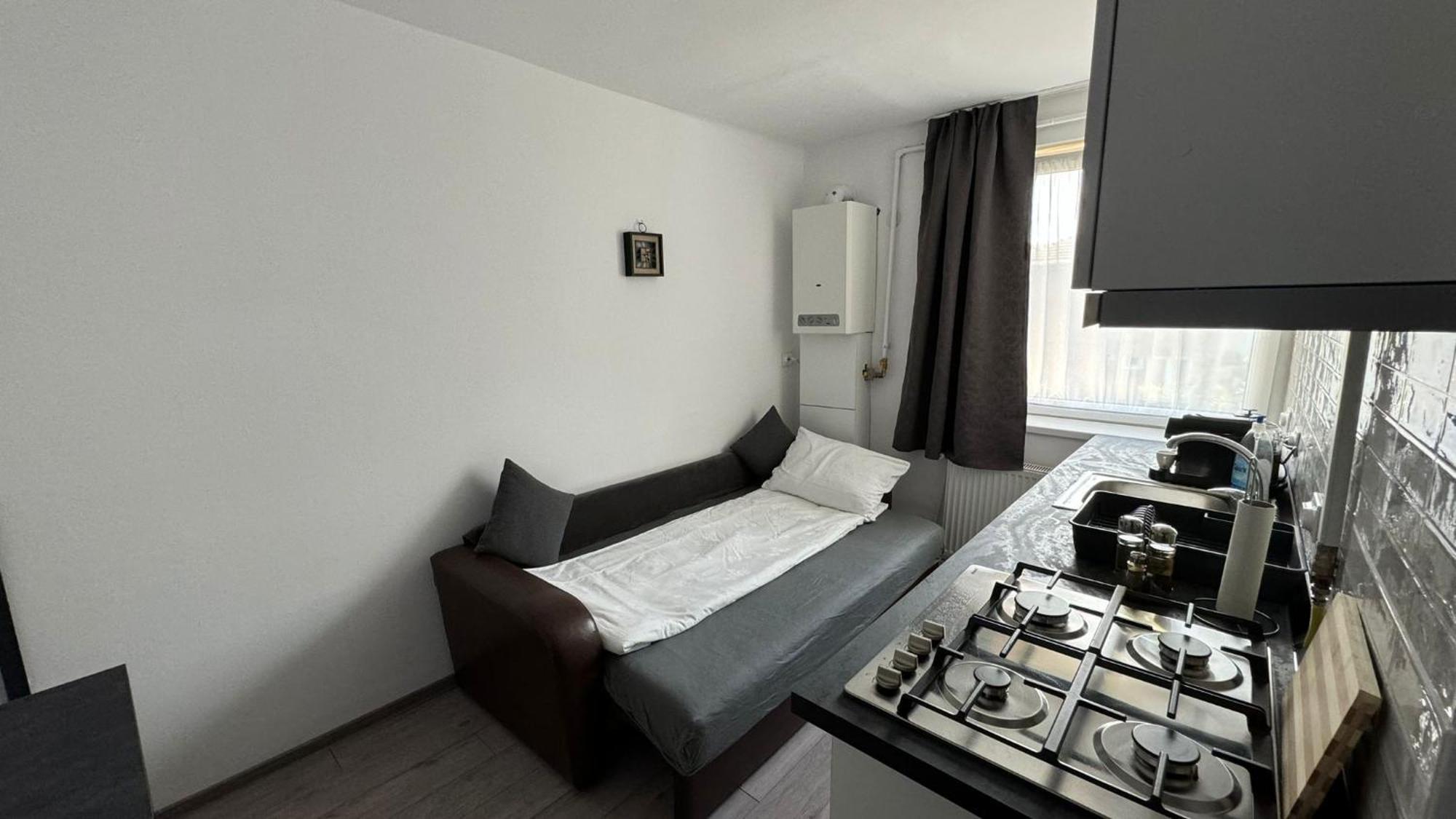 Refugiul Castelului Apartment Hunedoara Exterior foto